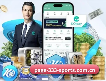 333体育 APP 深度功能